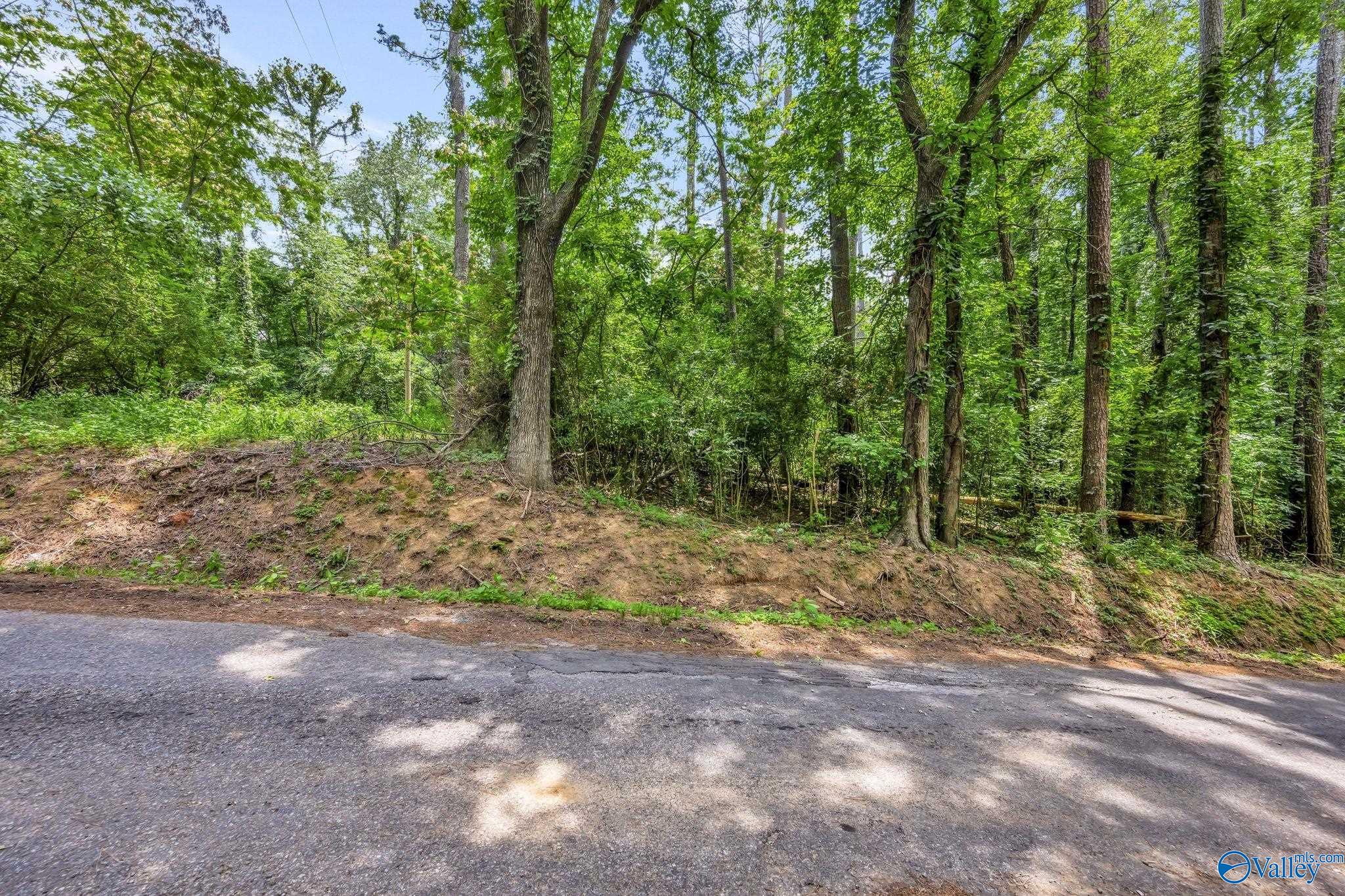 2.14 Acres Riverside Drive, Athens, Alabama image 22