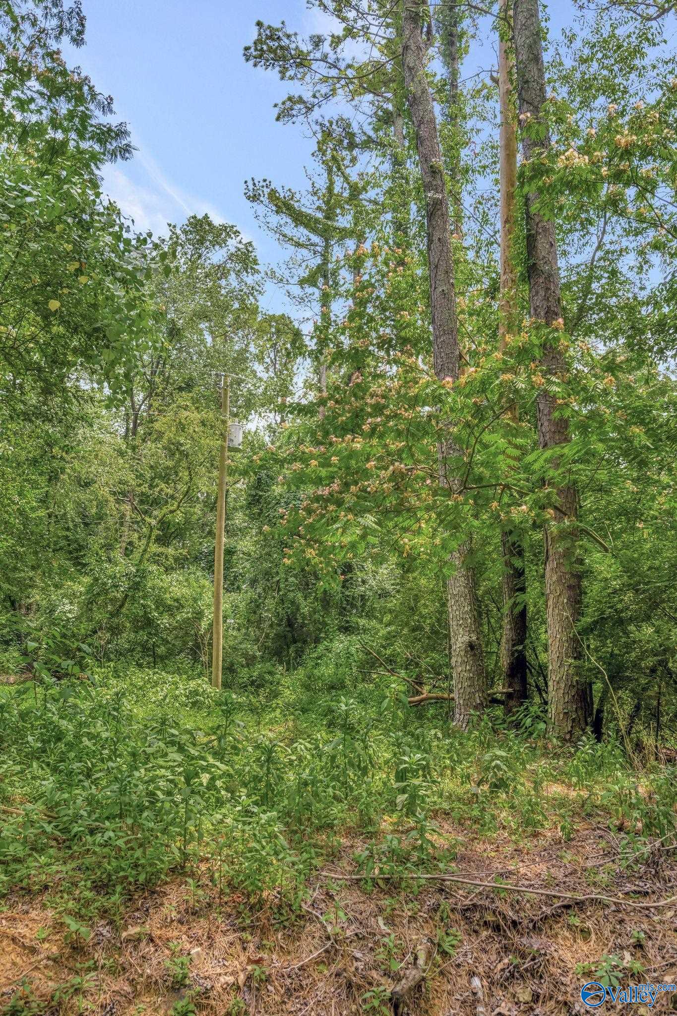 2.14 Acres Riverside Drive, Athens, Alabama image 26