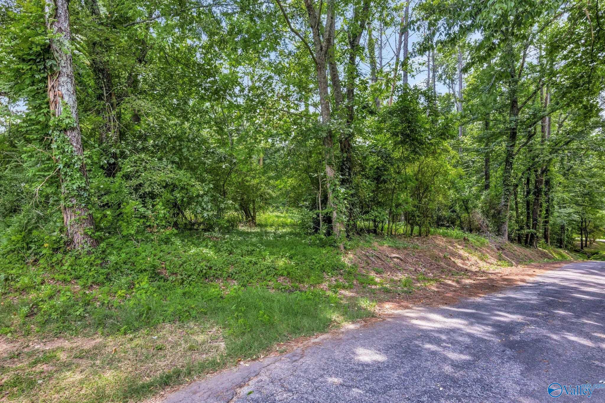 2.14 Acres Riverside Drive, Athens, Alabama image 20