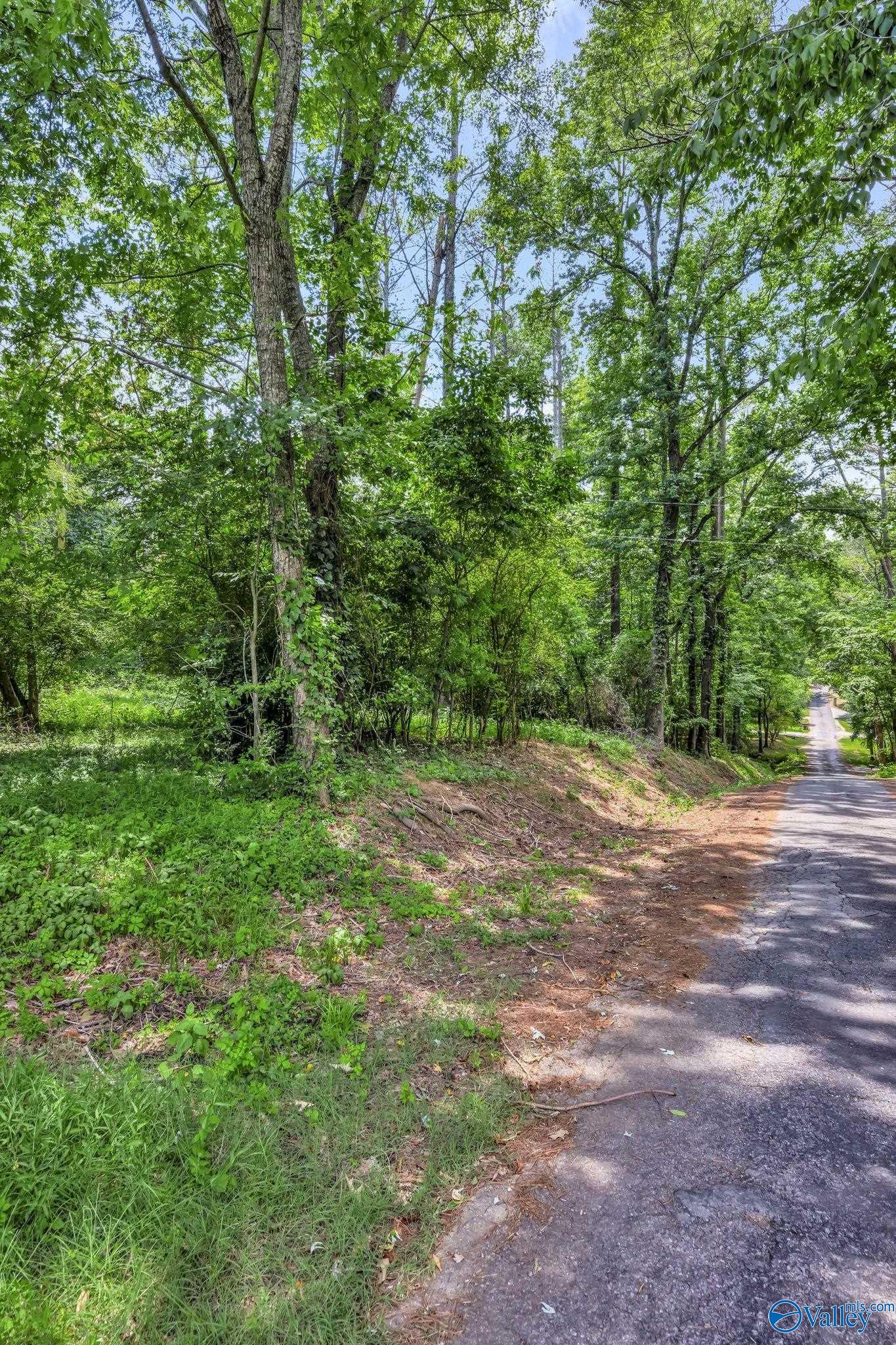 2.14 Acres Riverside Drive, Athens, Alabama image 21