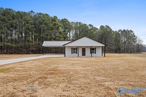 Photo of 223 Morgan Lane, Section, AL 35771 (MLS # 21909288)