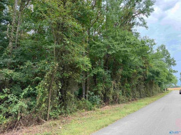 Lot 23 Townsend Road Hazel Green AL 35750