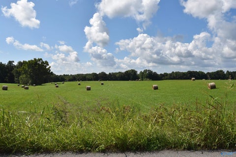 Vacant Land For Sale - 34.9 Old Quick Road<br/> Fayetteville, TN 37334