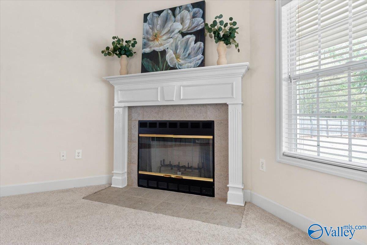 119 Bridgefield Road, Madison, Alabama image 12