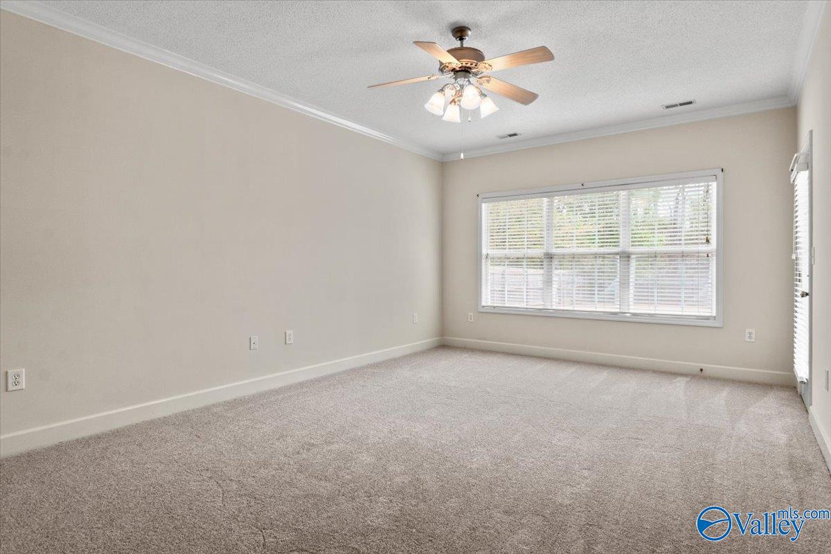119 Bridgefield Road, Madison, Alabama image 21
