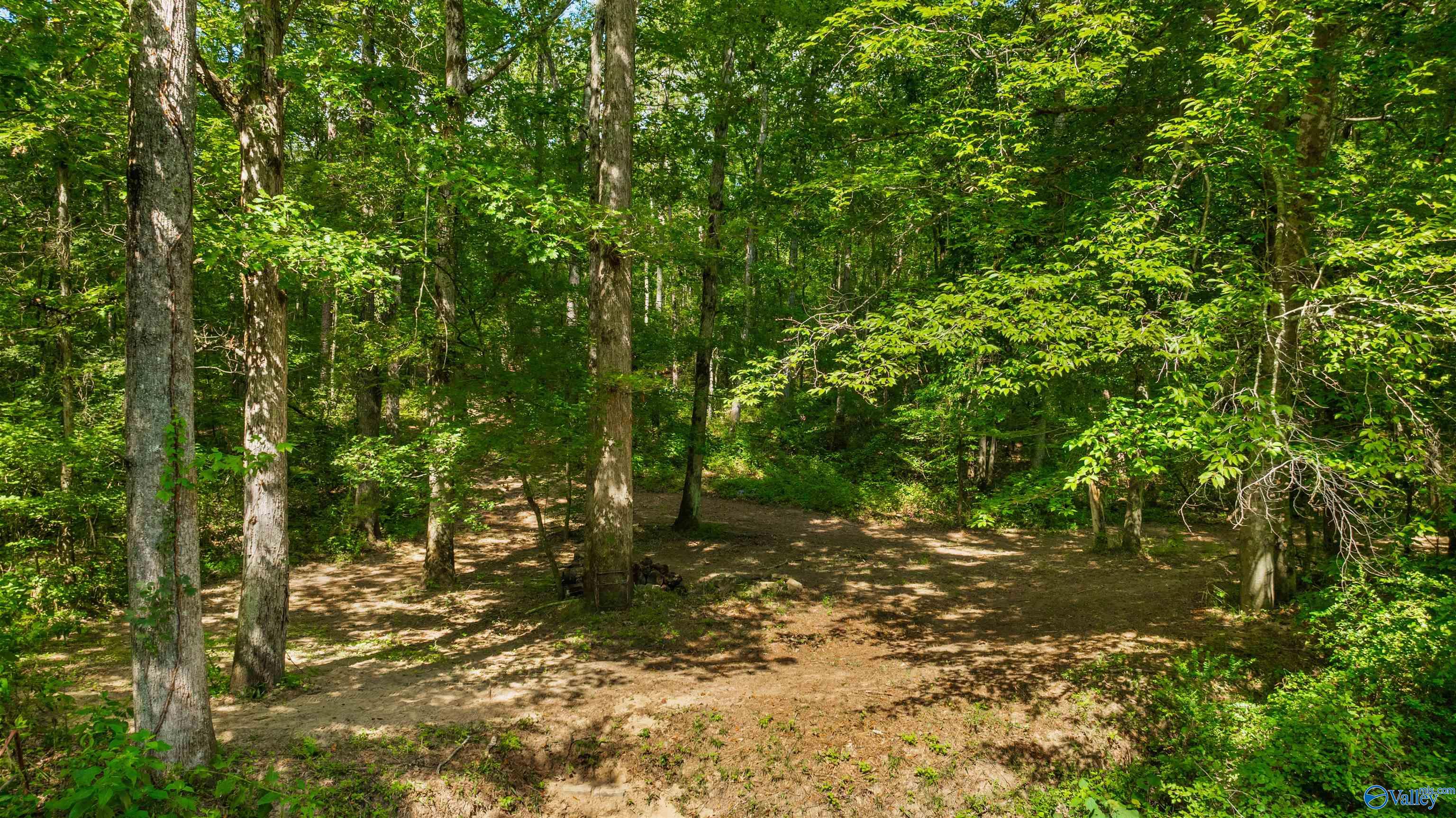 424 County Road 679, Fort Payne, Alabama image 32