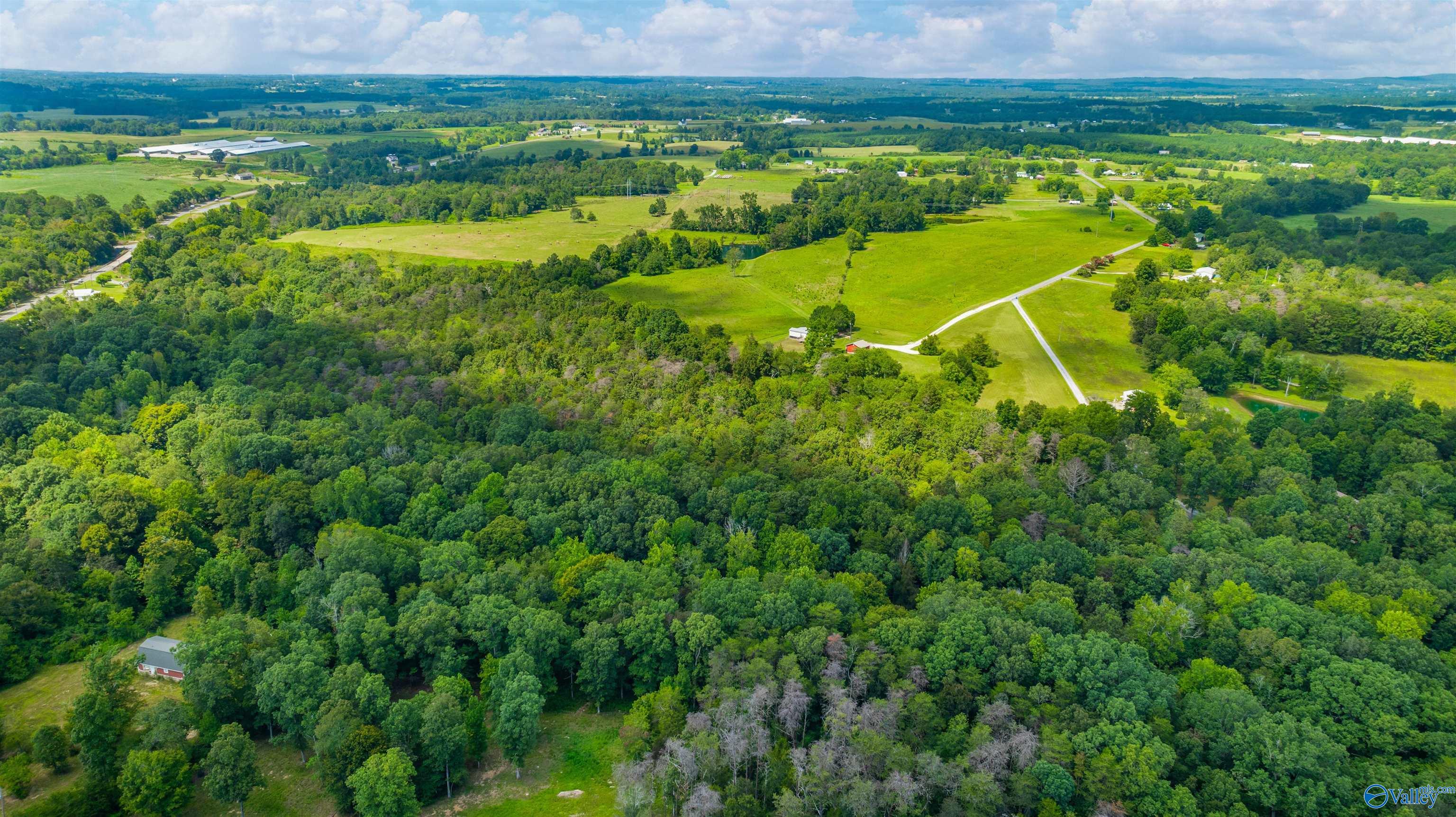 424 County Road 679, Fort Payne, Alabama image 39