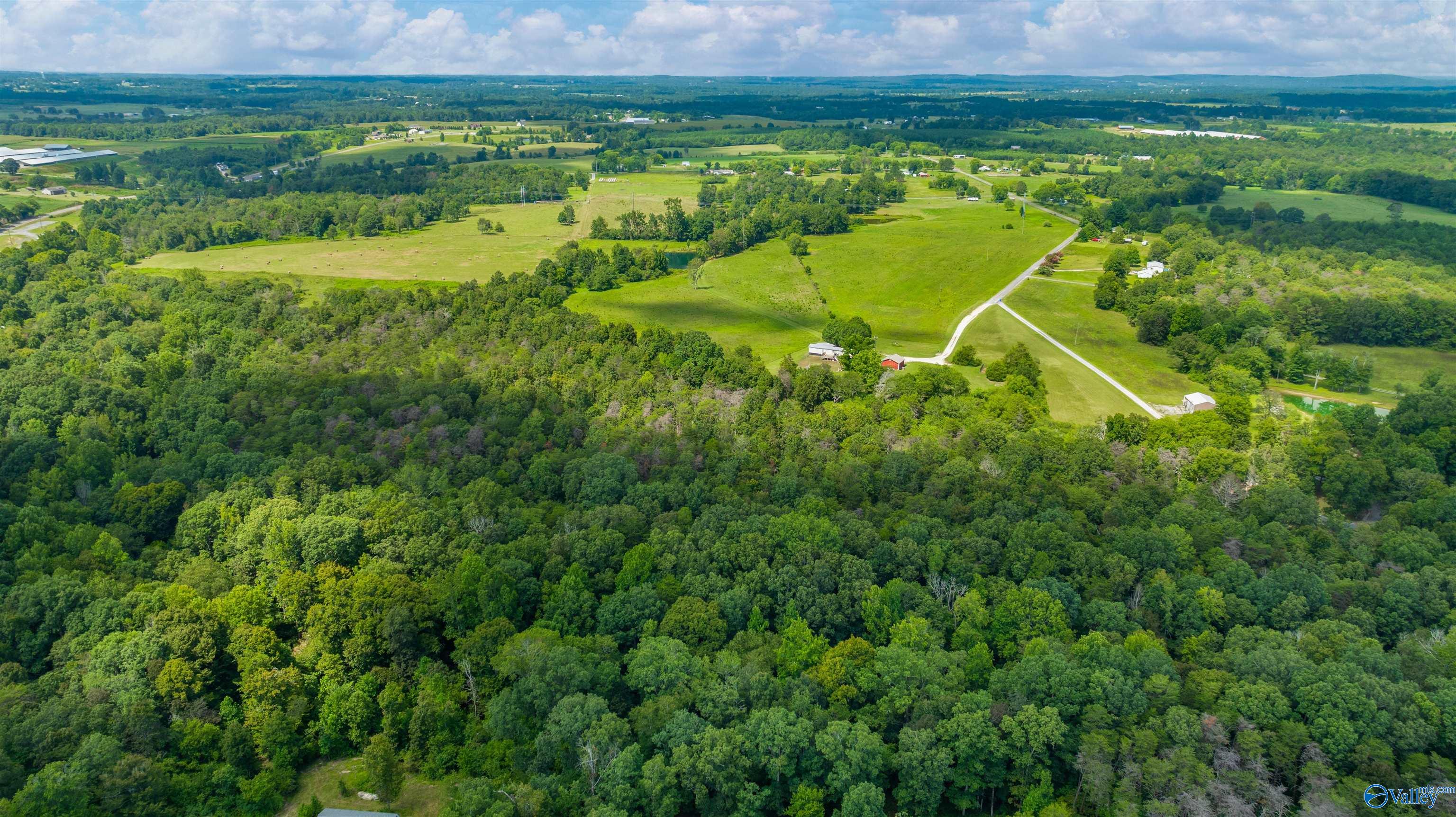 424 County Road 679, Fort Payne, Alabama image 40