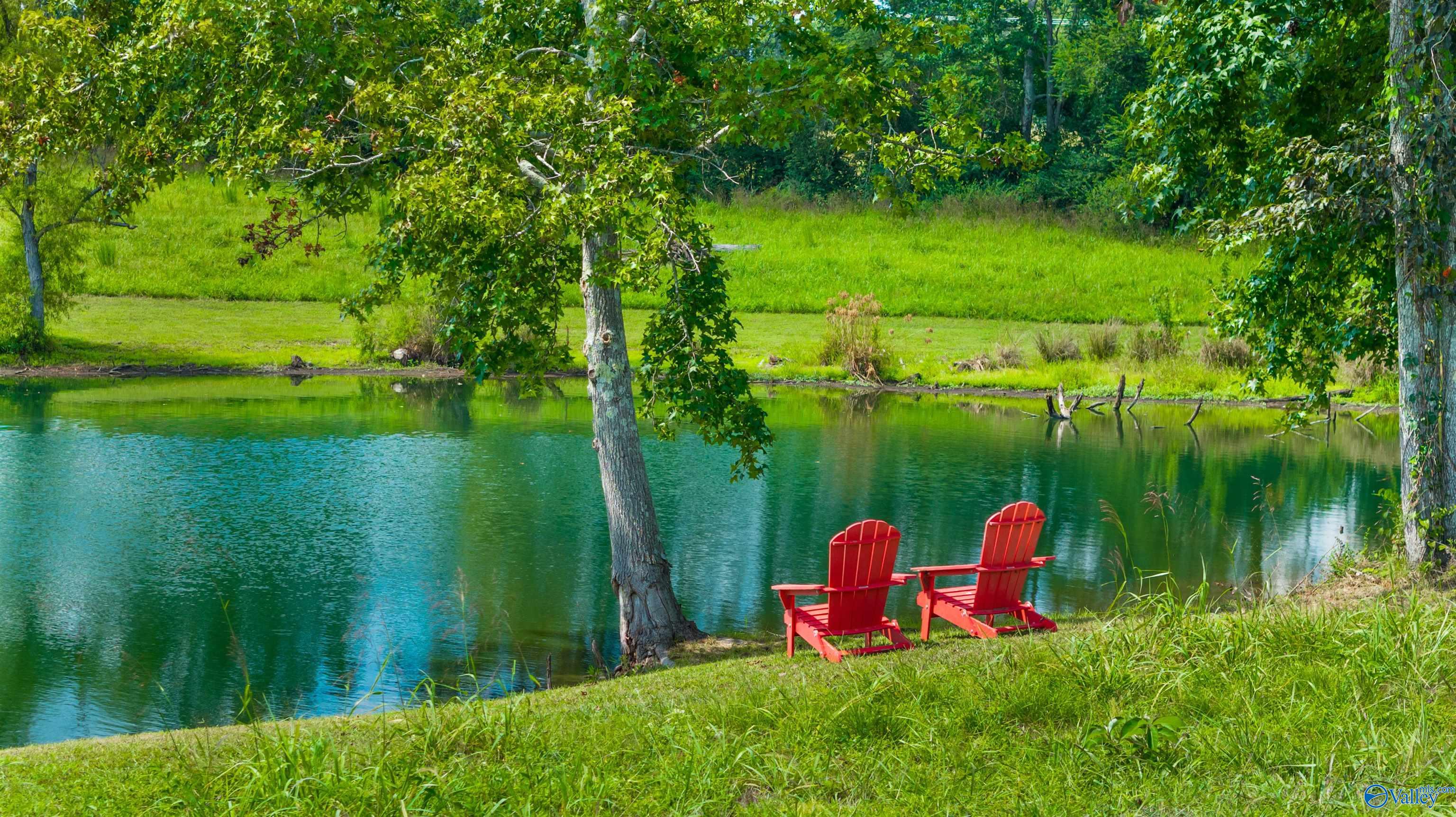 424 County Road 679, Fort Payne, Alabama image 1