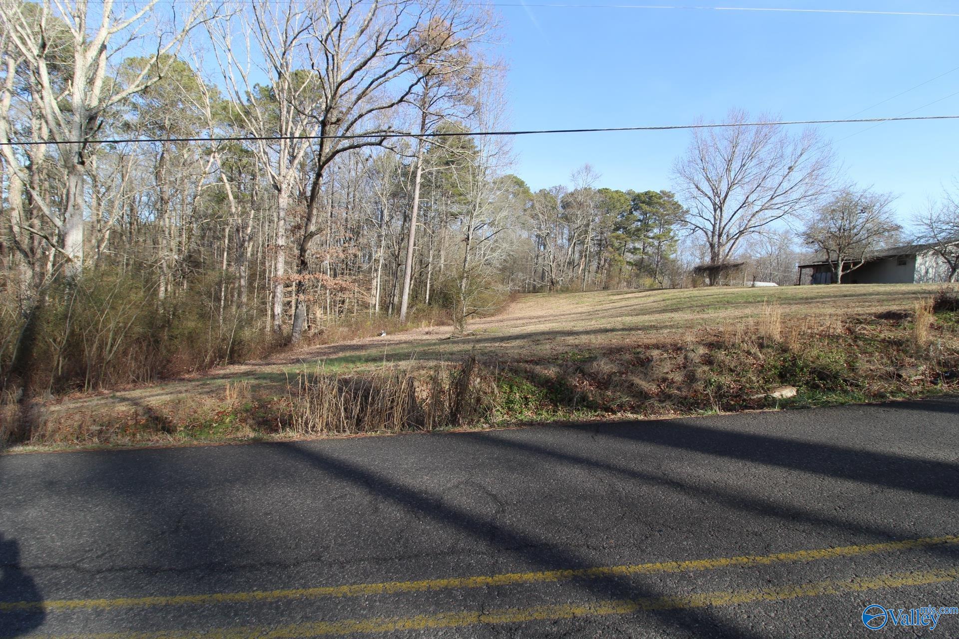 TRACT A Bruce Road, Boaz, Alabama image 6