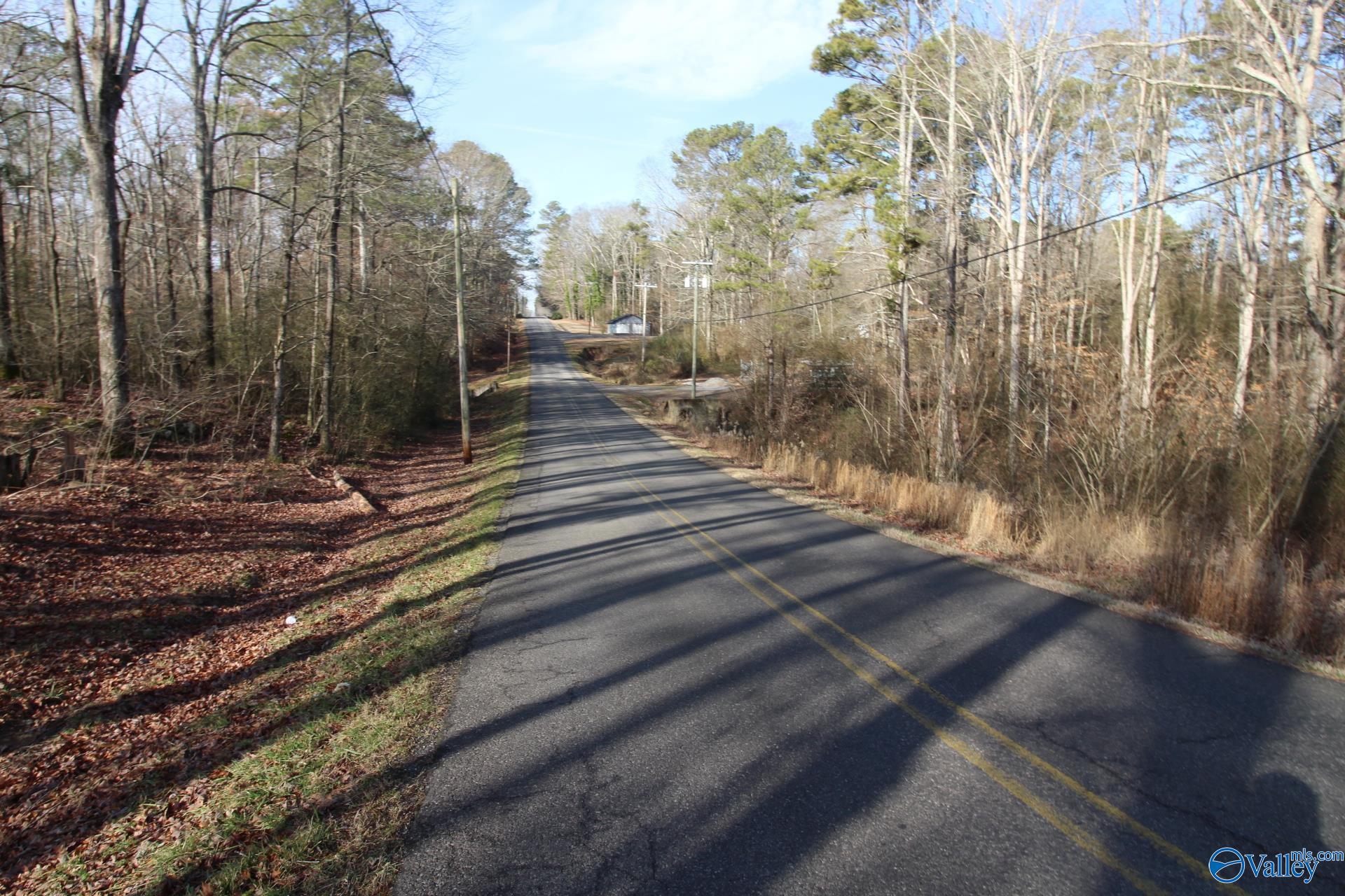 TRACT A Bruce Road, Boaz, Alabama image 5