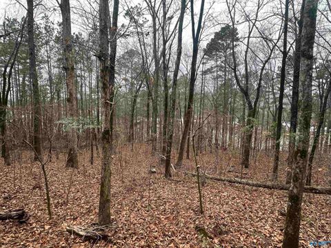 Vacant Land For Sale - 0.62 Riddles Bend Road<br/> Etowah County, Rainbow City, AL 35906