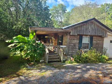 1085 Jolley Drive Horton AL 35980