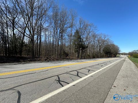Vacant Land For Sale - 10.23 Main Street<br/> Huntland, TN 37345