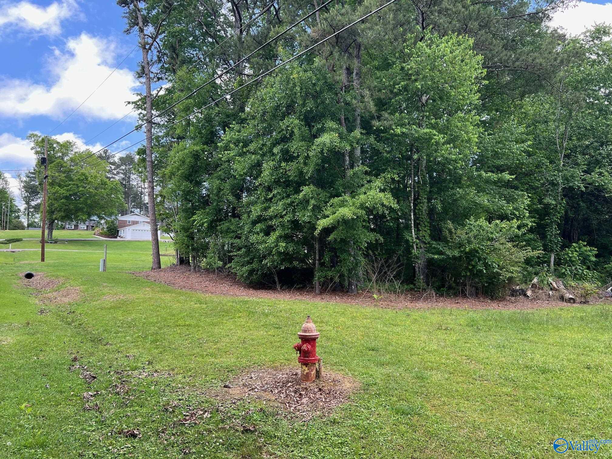 #0 Sloan Drive, Altoona, Alabama image 15