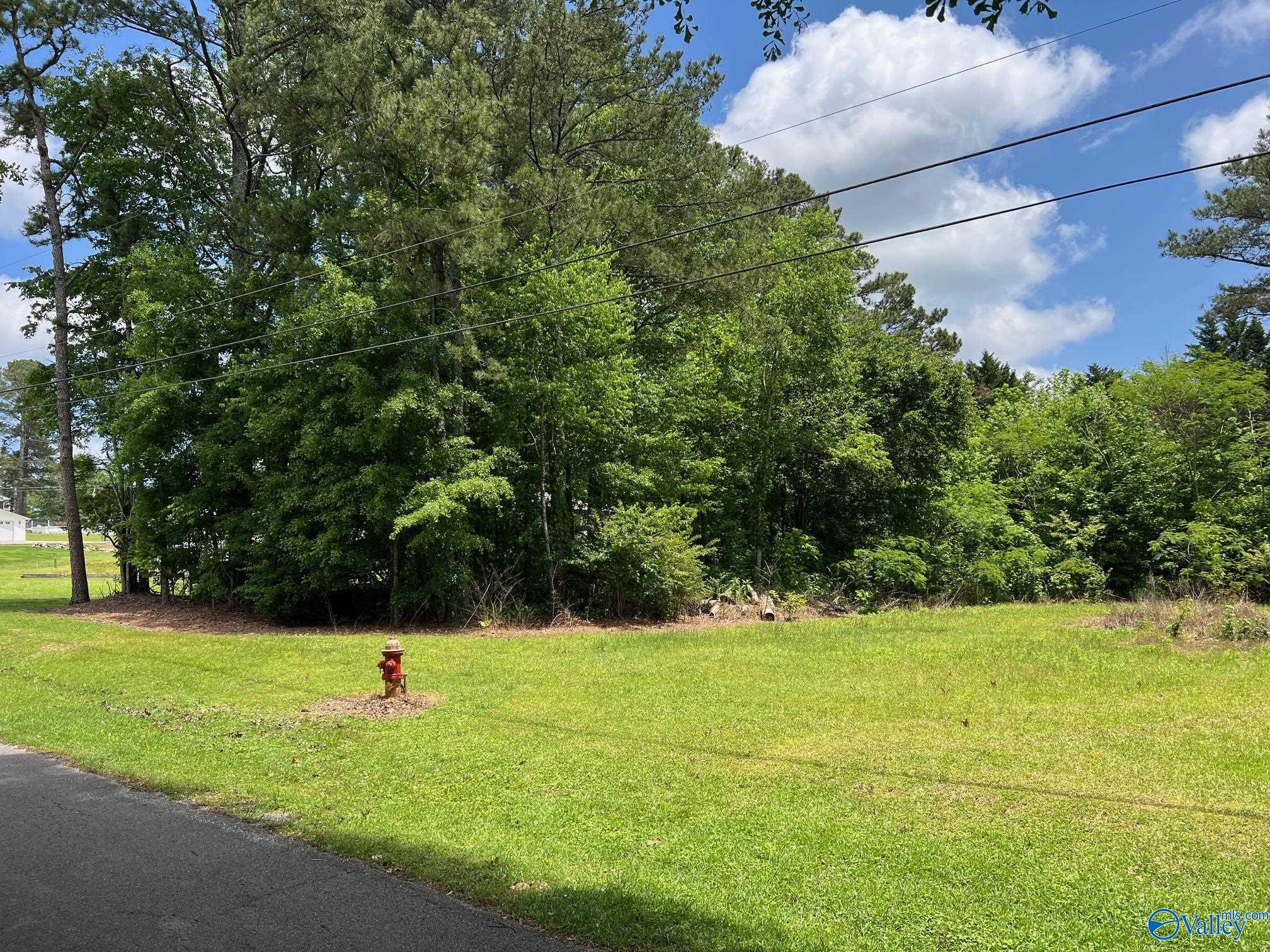 #0 Sloan Drive, Altoona, Alabama image 13