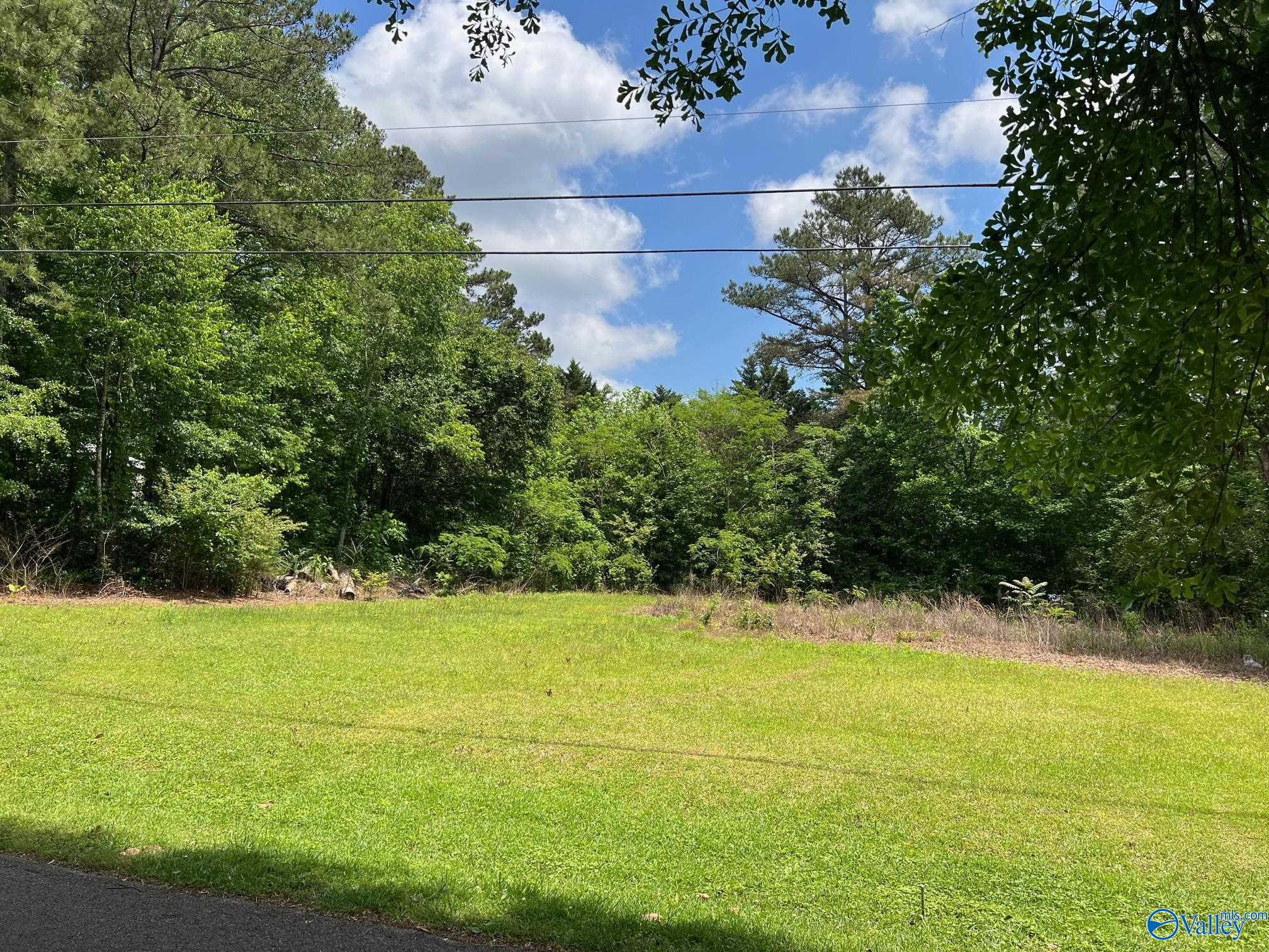 #0 Sloan Drive, Altoona, Alabama image 17