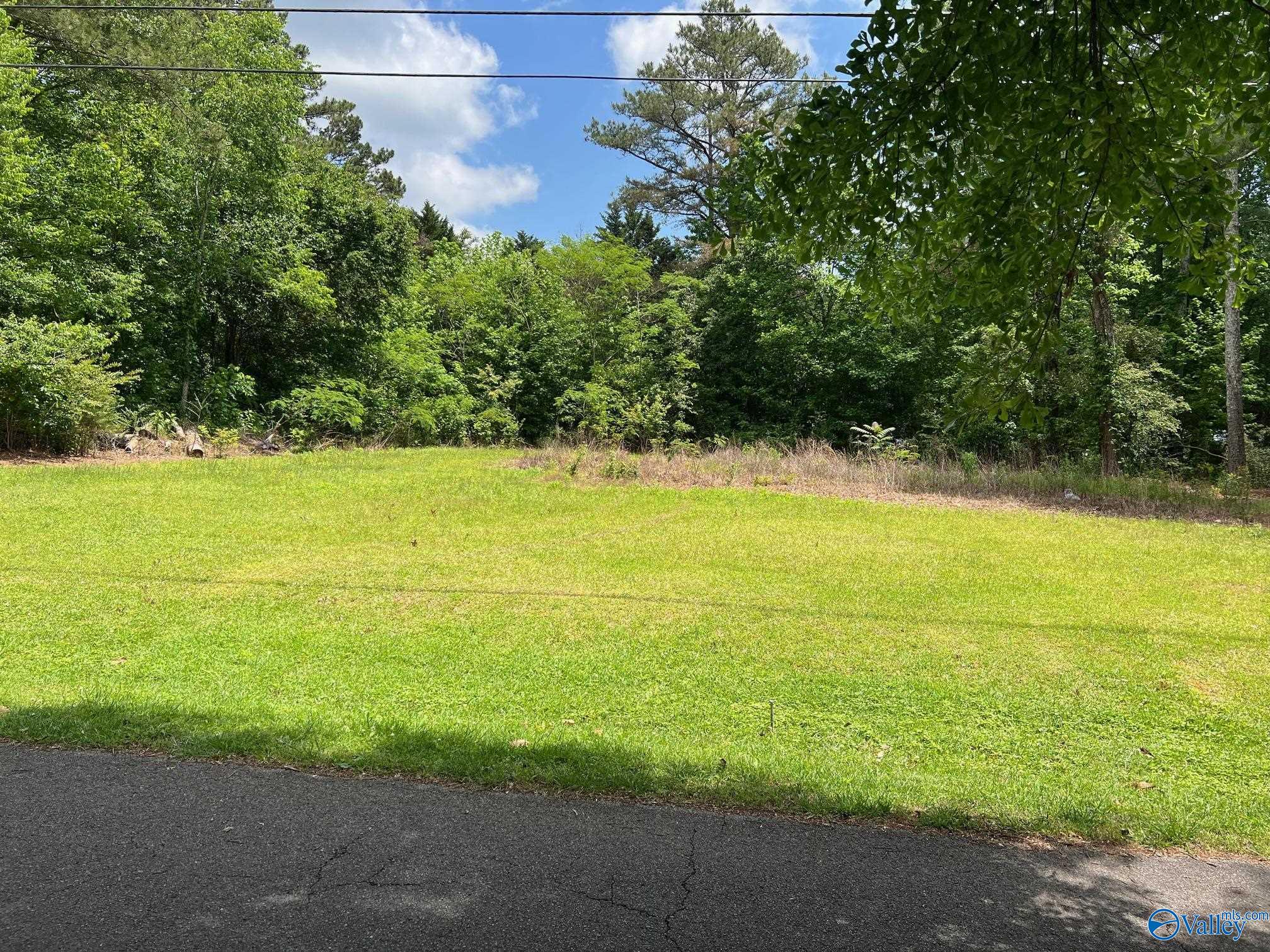 #0 Sloan Drive, Altoona, Alabama image 18