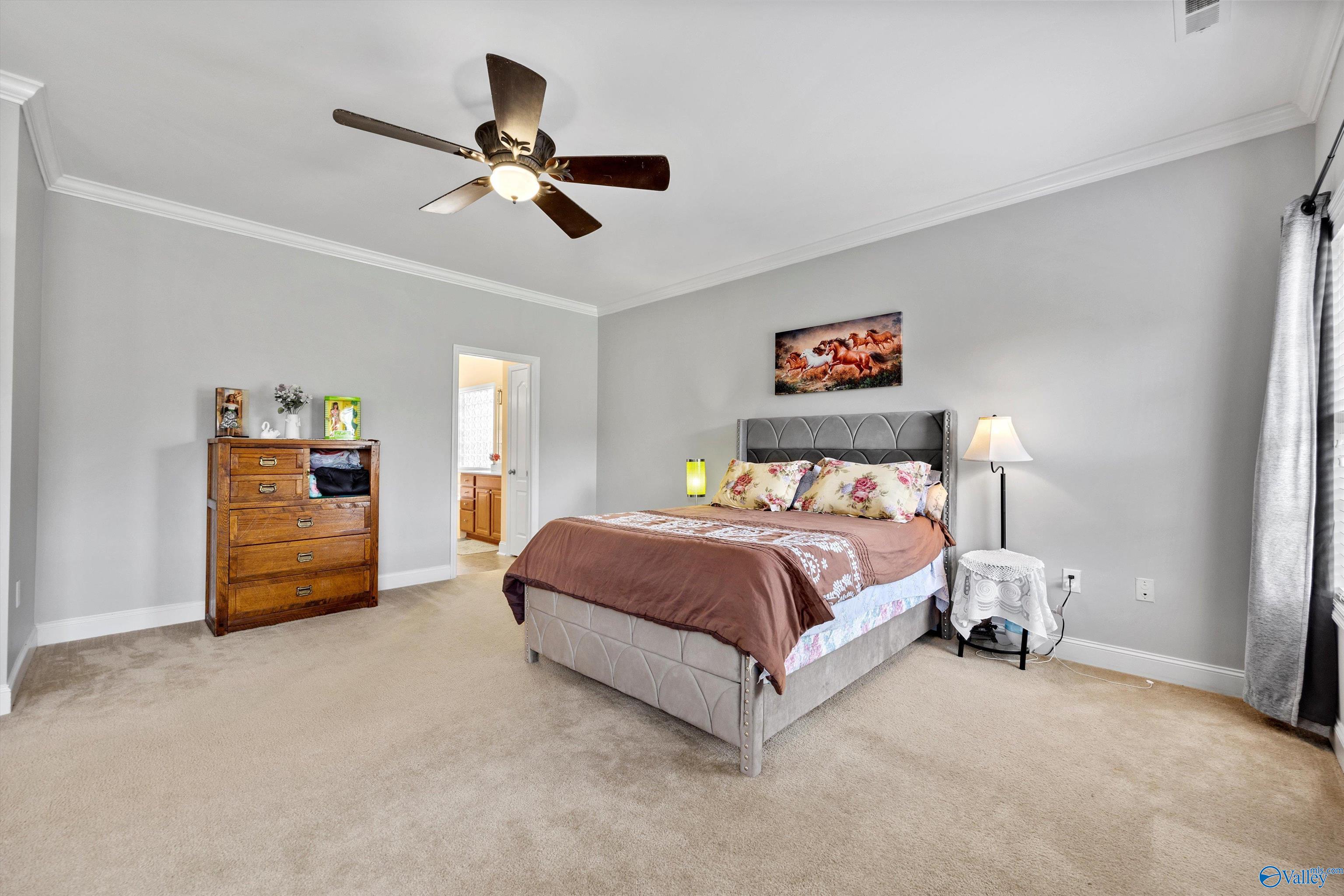 4600 Talbot Drive, Owens Cross Roads, Alabama image 13