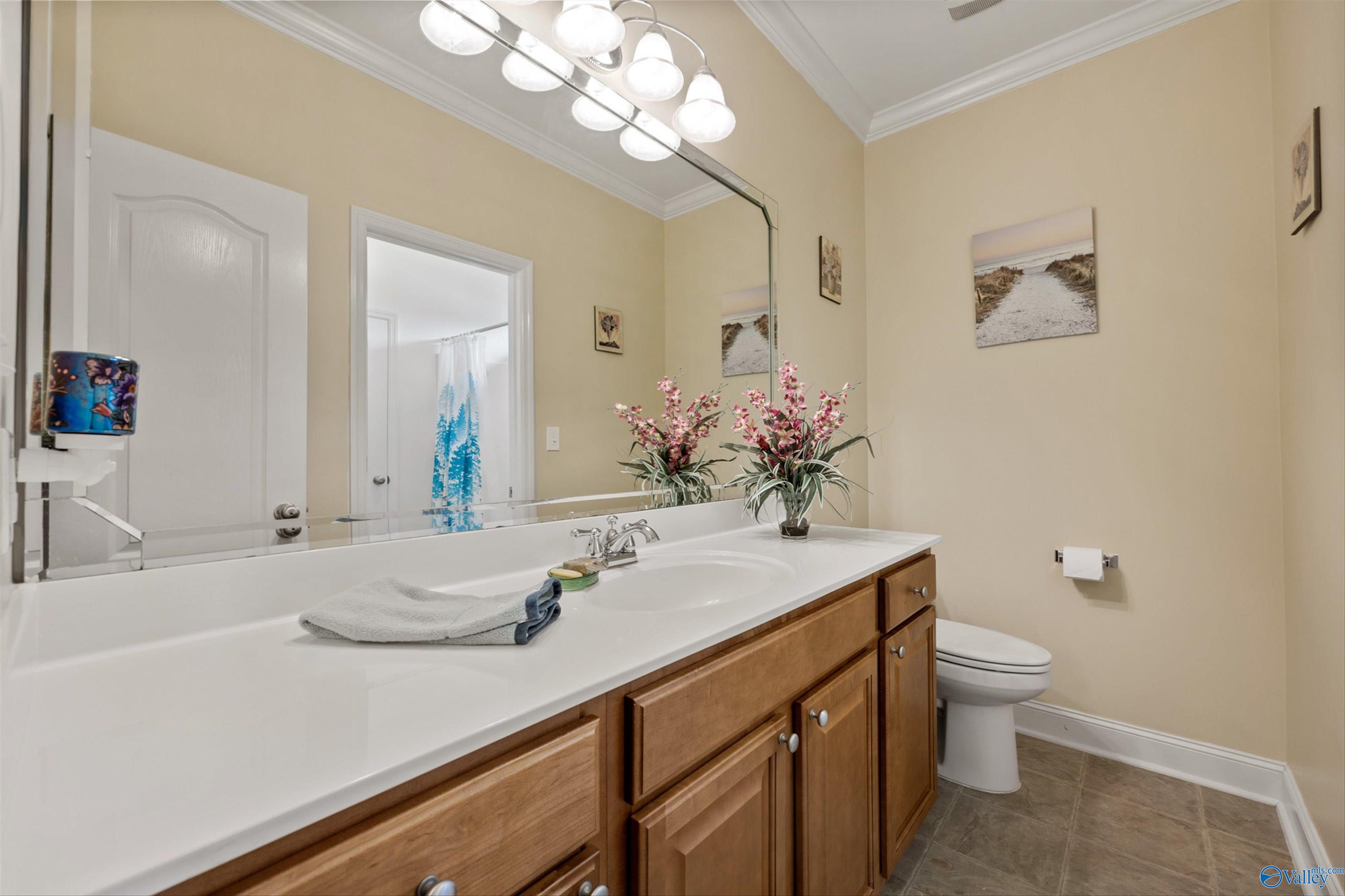 4600 Talbot Drive, Owens Cross Roads, Alabama image 19