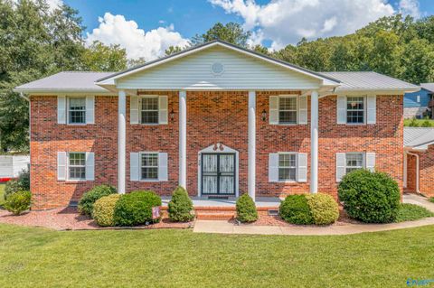 Homes For Sale - 20 Mountain Drive<br/> Jacksonville, AL 36265