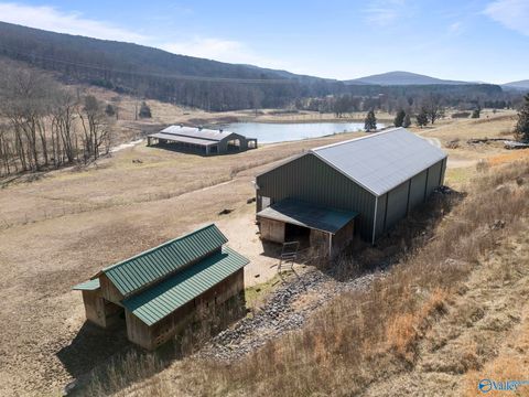 Vacant Land For Sale - 129 (TRACT 2) Victorian Rose Lane<br/> Gurley, AL 35748