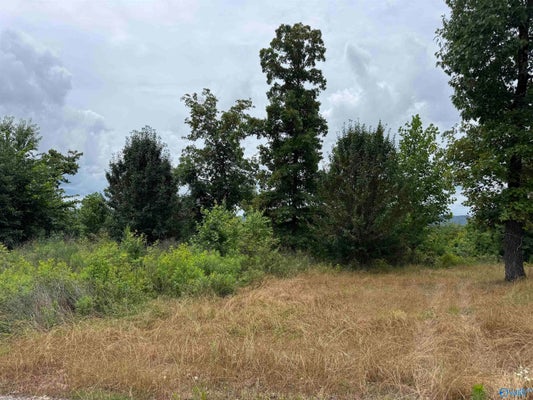 75 VISTA PT, GADSDEN, AL 35907 - Image 9908cc8ed72d77b44f5815e203c4fca7/1869954249