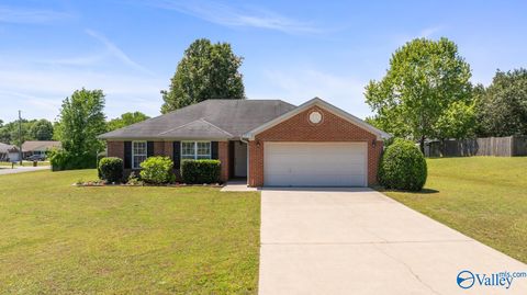 Photo of 14701 Sara Beth Drive, Harvest, AL 35749 (MLS # 21917516)