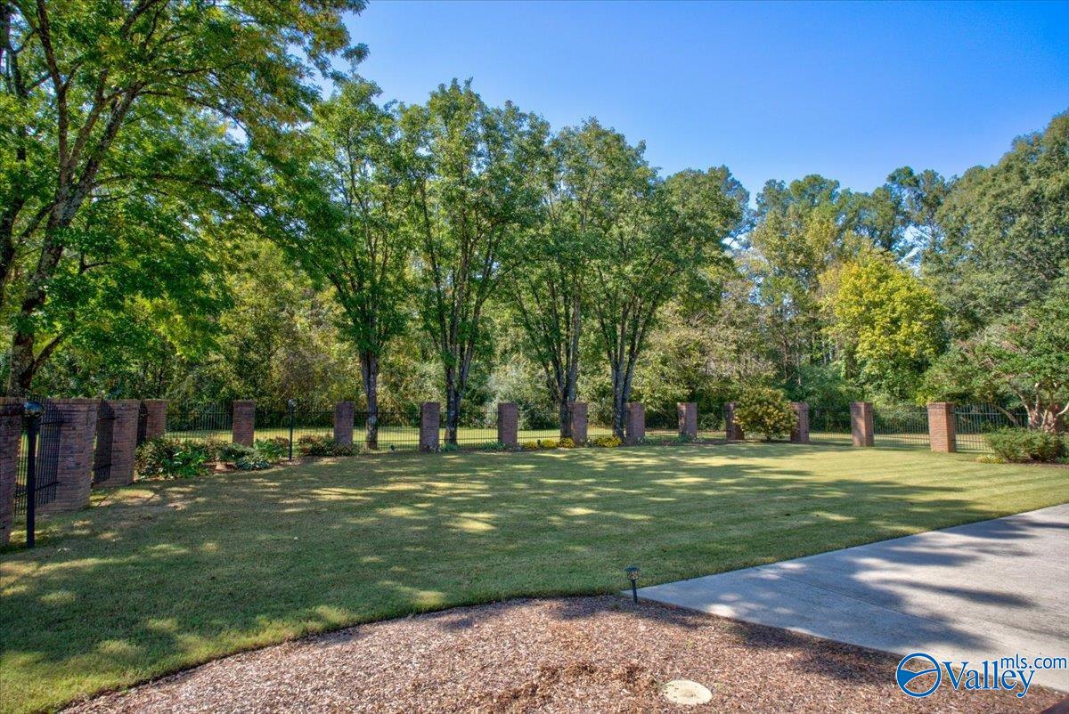 355 Forrest Hills Drive, Brownsboro, Alabama image 45