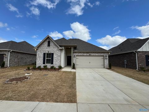 Homes For Rent - 16702 Ted Childs Drive<br/> Athens, AL 35613
