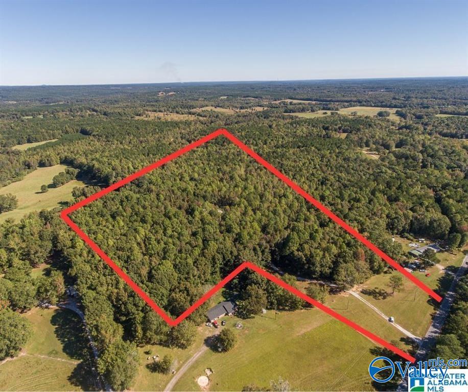 431 County Road 30, Roanoke, Alabama image 3