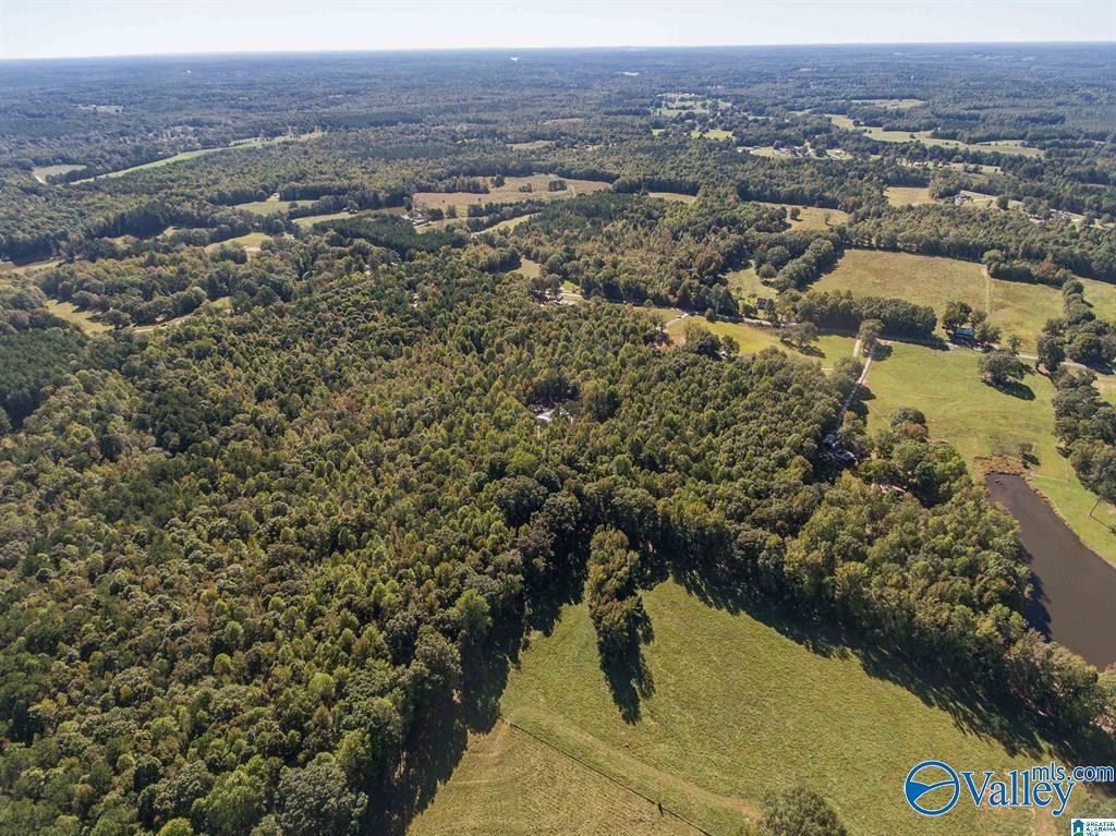 431 County Road 30, Roanoke, Alabama image 11