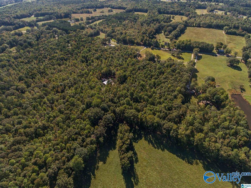 431 County Road 30, Roanoke, Alabama image 12