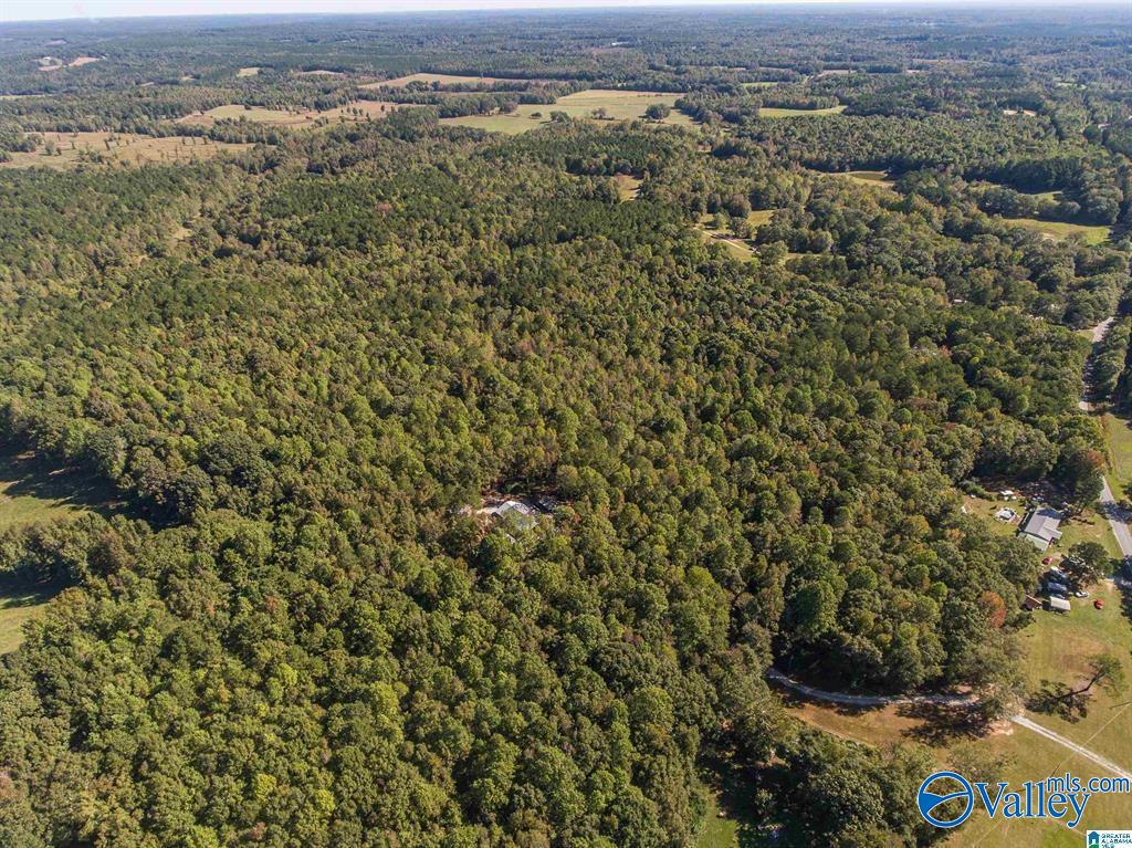 431 County Road 30, Roanoke, Alabama image 15