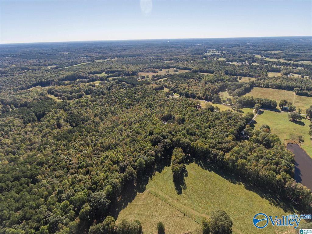 431 County Road 30, Roanoke, Alabama image 14