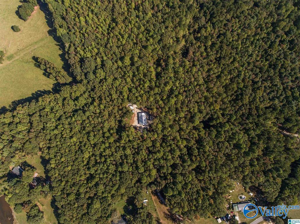 431 County Road 30, Roanoke, Alabama image 16