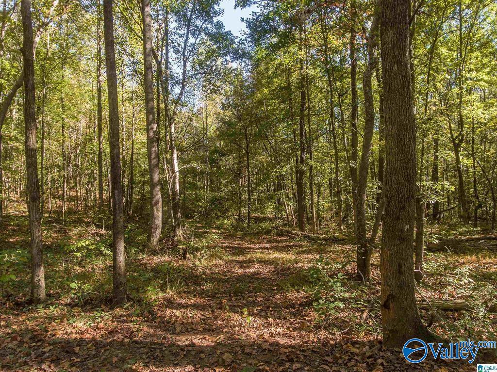 431 County Road 30, Roanoke, Alabama image 8