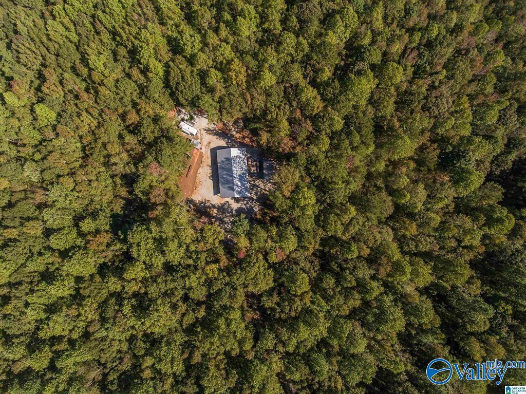 431 County Road 30, Roanoke, Alabama image 17
