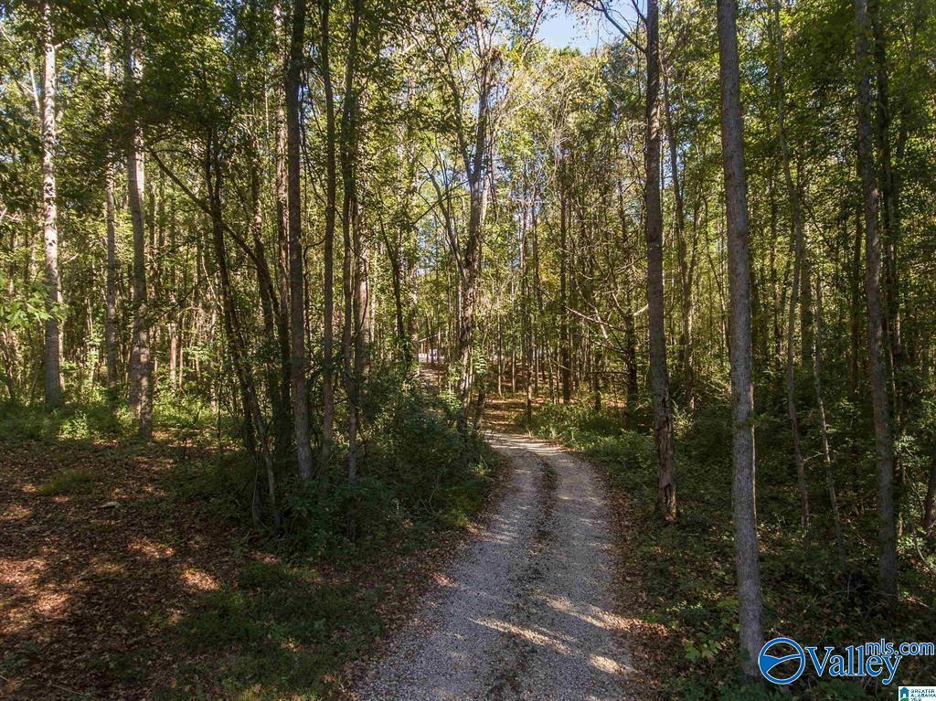 431 County Road 30, Roanoke, Alabama image 1