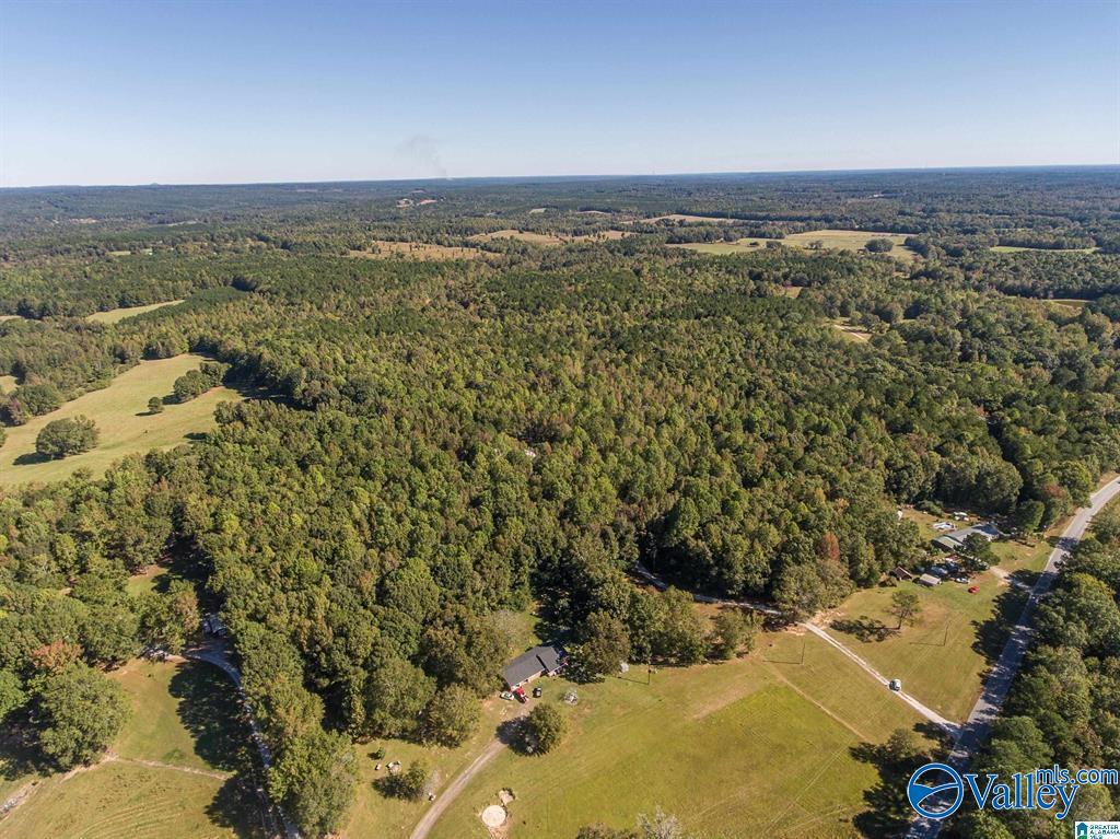 431 County Road 30, Roanoke, Alabama image 22