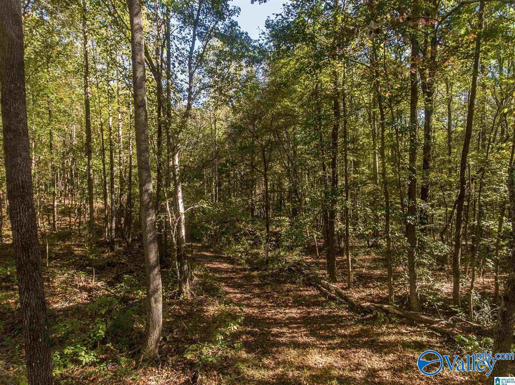 431 County Road 30, Roanoke, Alabama image 10
