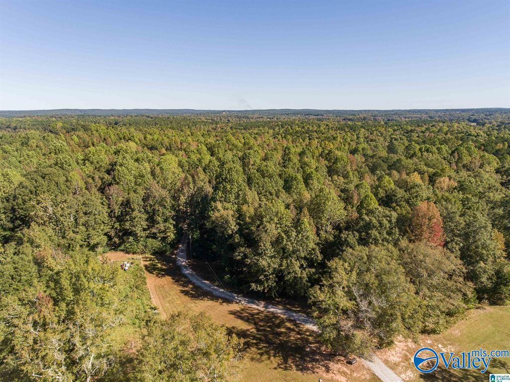 431 County Road 30, Roanoke, Alabama image 18