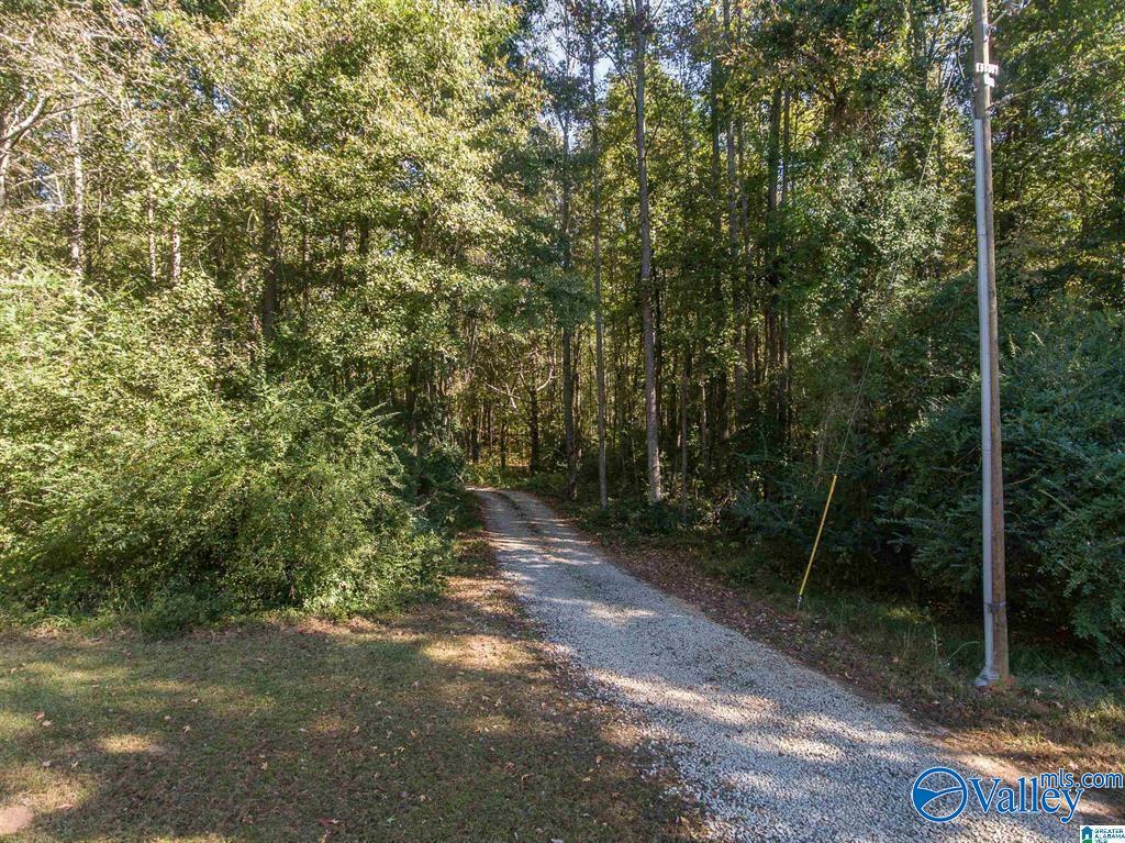 431 County Road 30, Roanoke, Alabama image 19