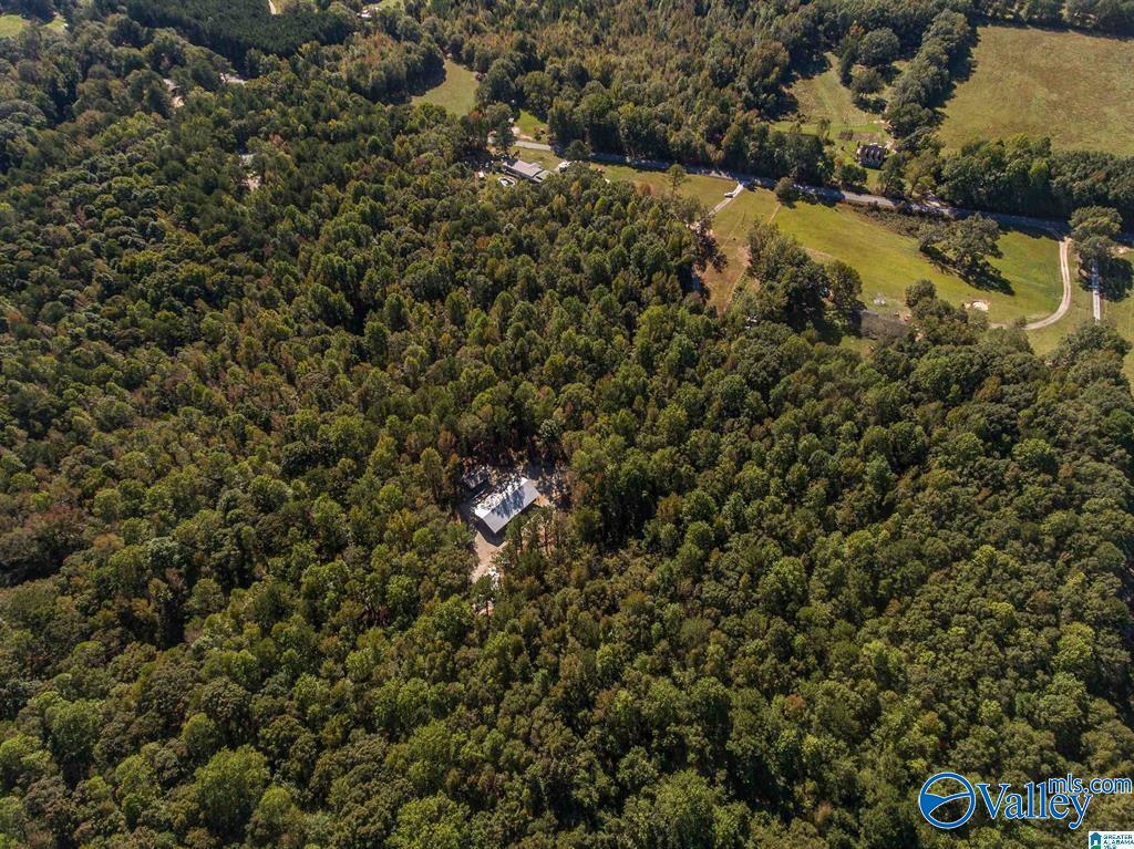 431 County Road 30, Roanoke, Alabama image 13