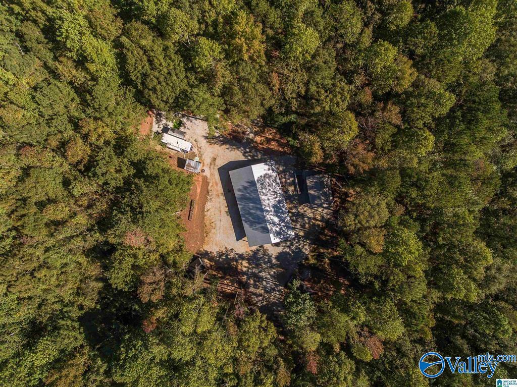431 County Road 30, Roanoke, Alabama image 21