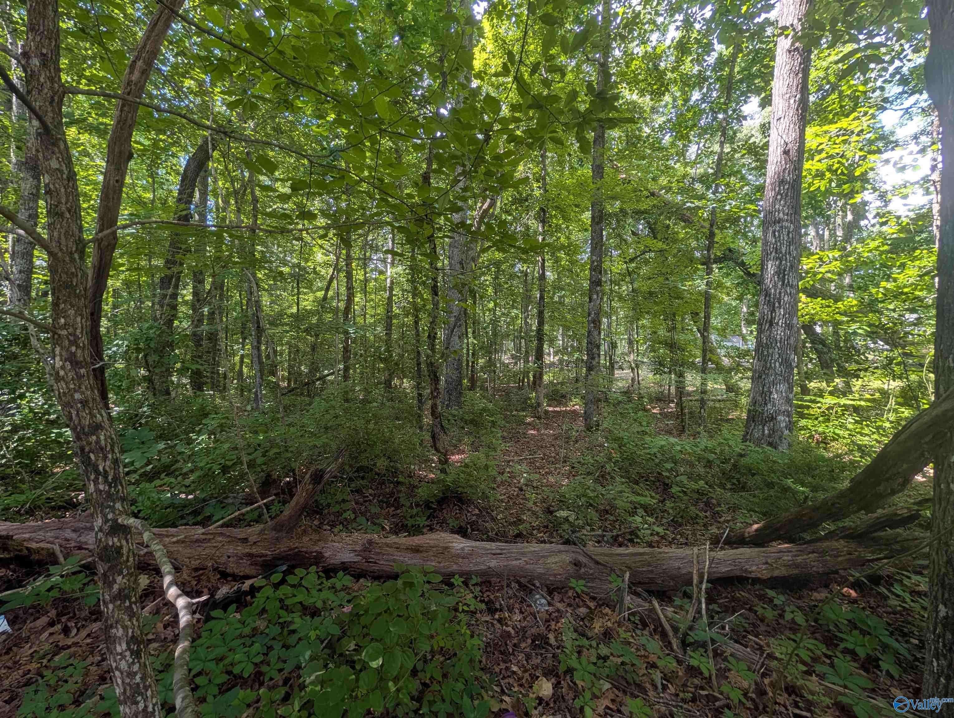 996 Keel Mountain Road
