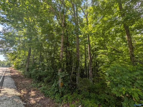 Vacant Land For Sale - 996 Keel Mountain Road<br/> Gurley, AL 35748