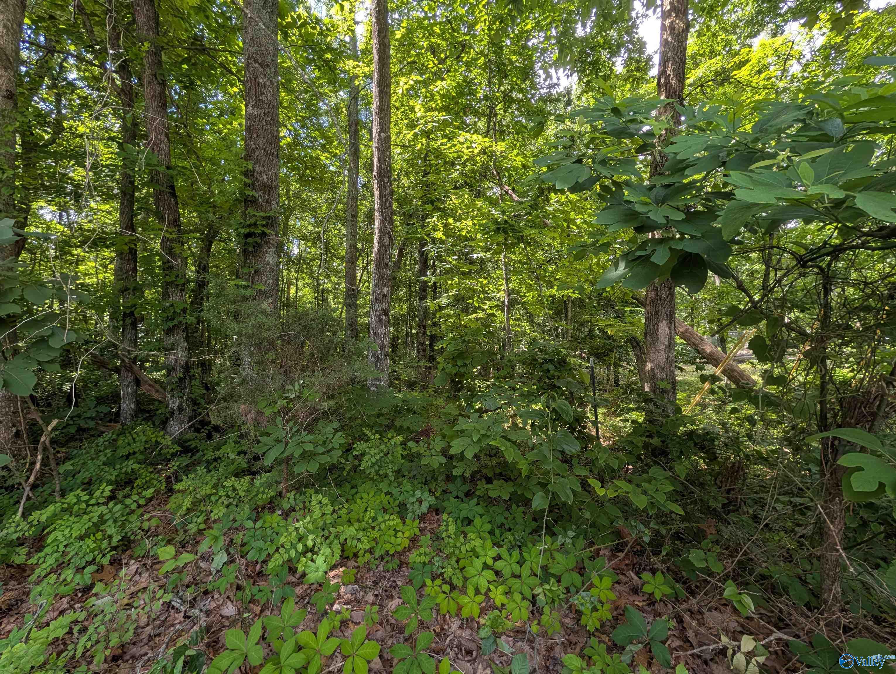 996 Keel Mountain Road