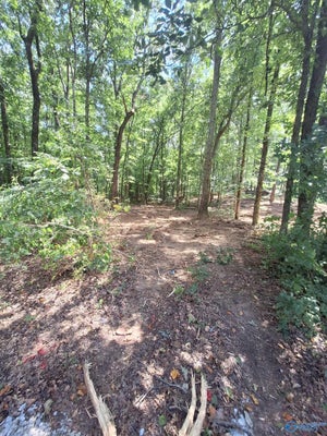 996 KEEL MOUNTAIN RD, GURLEY, AL 35748 - Image 994ed0c842d7e3f0c22b7ebc6db6f381/3806702918