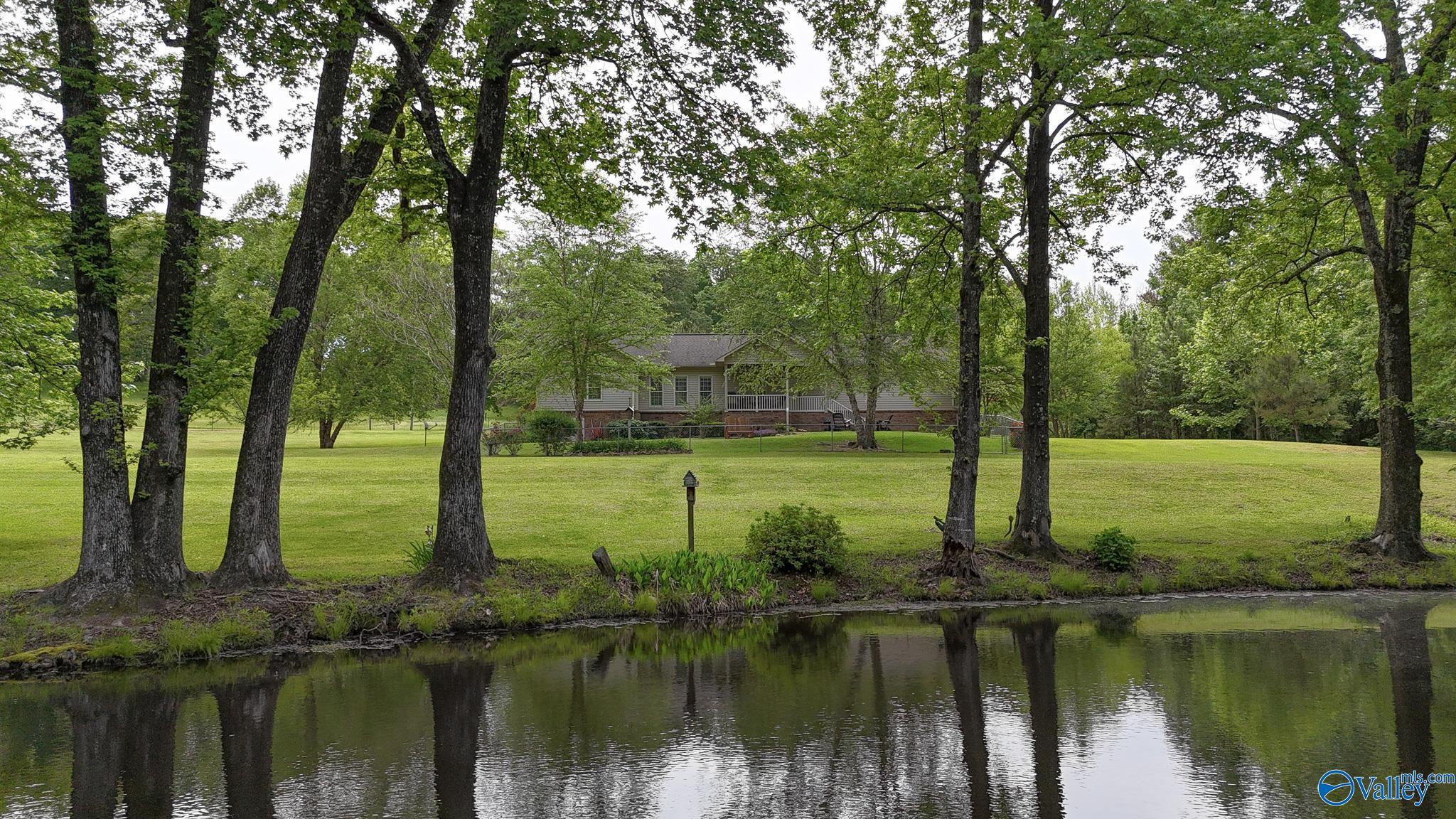 3566 Bexar Avenue, Hamilton, Alabama image 42